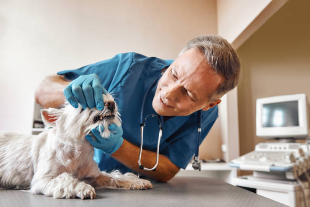 Best Urgent Care for Lost Fillings or Crowns in Merkel, TX
